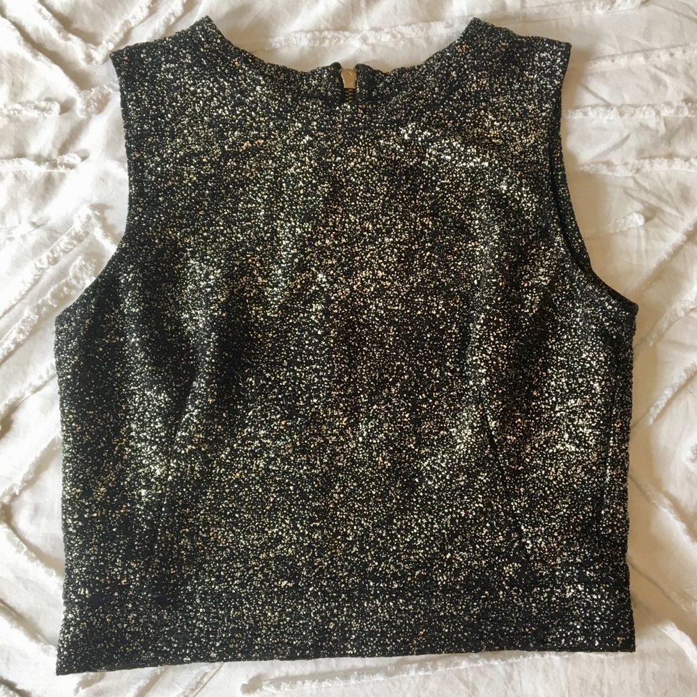 Sparkly LF crop top